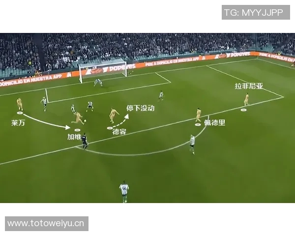 杭州网球队整体压制打法深度解析与战术优势探讨